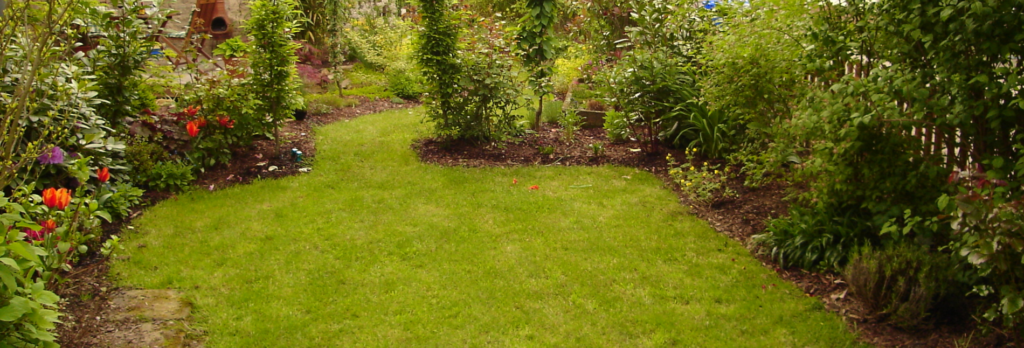 Hintergrund 1 1024x348